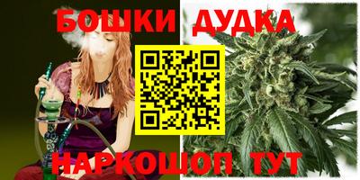 крисы Новокубанск