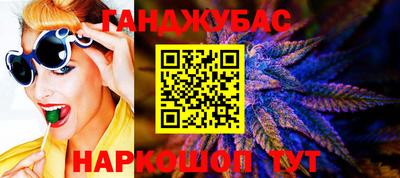 крисы Новокубанск