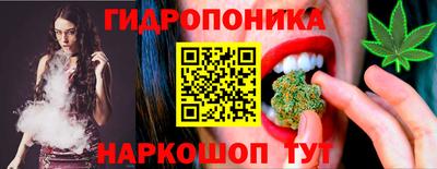 прущие крисы Новодвинск