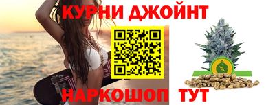 крисы Новокубанск