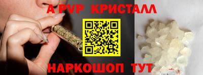 крисы Новокубанск