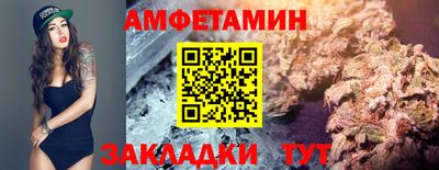 крисы Новокубанск