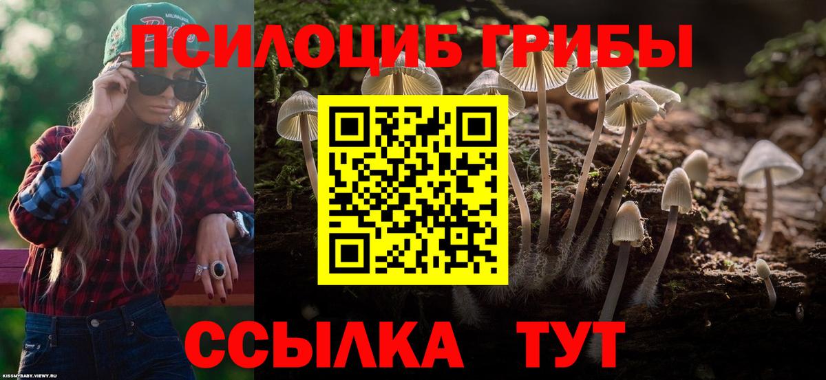Галлюциногенные грибы ЛСД Александров