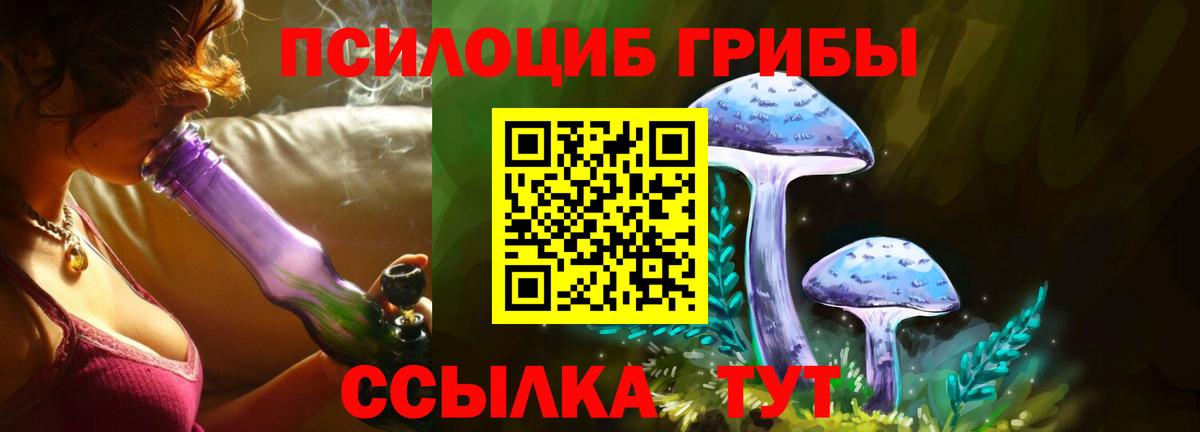 Псилоцибиновые грибы прущие грибы  Псилоцибиновые грибы прущие грибы  Вход с VPN  Александров 